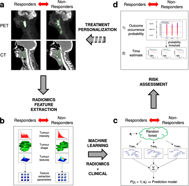 Figure 1 for Radiomics strategies for risk assessment of tumour failure in head-and-neck cancer