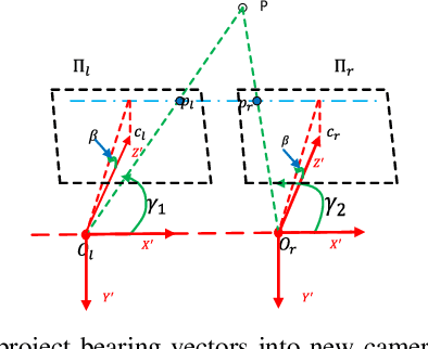 Figure 2 for Pixel-variant Local Homography for Fisheye Stereo Rectification Minimizing Resampling Distortion