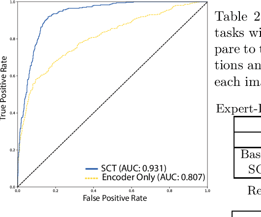 Figure 4 for Context-Aware Transformers For Spinal Cancer Detection and Radiological Grading