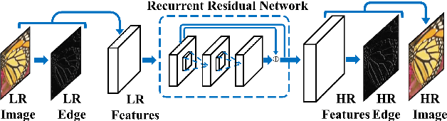Figure 1 for Deep Edge Guided Recurrent Residual Learning for Image Super-Resolution