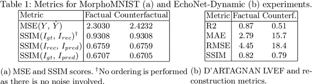 Figure 2 for D'ARTAGNAN: Counterfactual Video Generation
