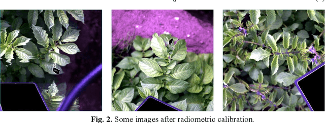 Figure 3 for In-field early disease recognition of potato late blight based on deep learning and proximal hyperspectral imaging