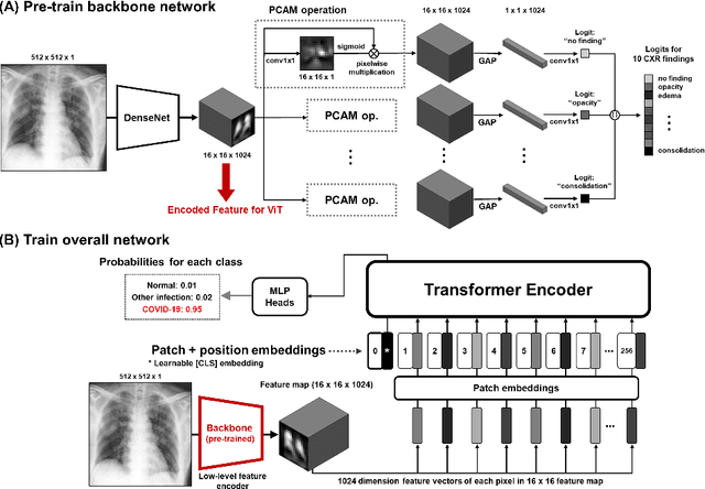 Figure 1 for Vision Transformer for COVID-19 CXR Diagnosis using Chest X-ray Feature Corpus