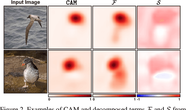 Figure 3 for Bridging the Gap between Classification and Localization for Weakly Supervised Object Localization