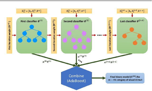 Figure 3 for Anatomical Pattern Analysis for decoding visual stimuli in human brains