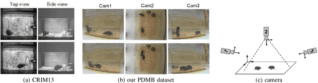 Figure 4 for Muti-view Mouse Social Behaviour Recognition with Deep Graphical Model