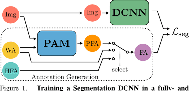 Figure 1 for Towards Closing the Gap in Weakly Supervised Semantic Segmentation with DCNNs: Combining Local and Global Models