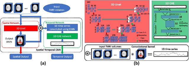 Figure 1 for Modeling 4D fMRI Data via Spatio-Temporal Convolutional Neural Networks (ST-CNN)