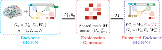 Figure 1 for Interpretable Graph Neural Networks for Connectome-Based Brain Disorder Analysis