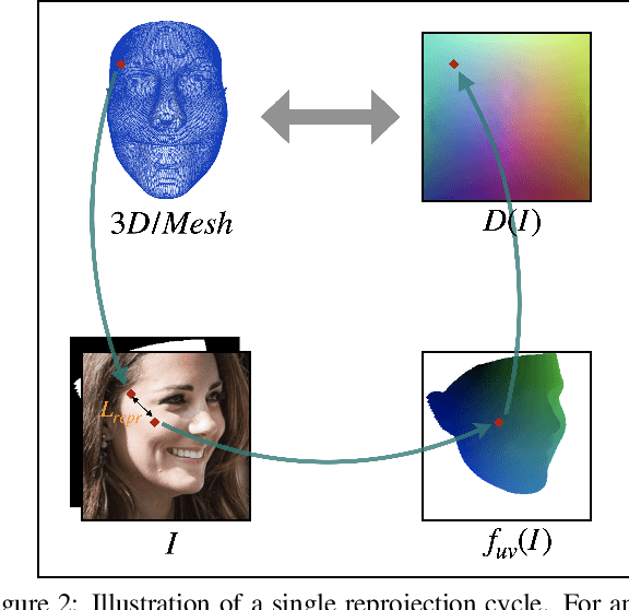 Figure 2 for Weak Multi-View Supervision for Surface Mapping Estimation