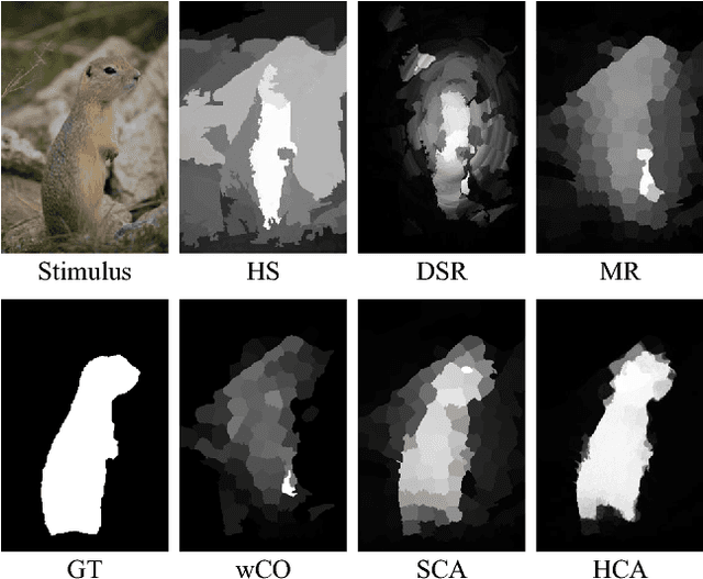 Figure 1 for Hierarchical Cellular Automata for Visual Saliency