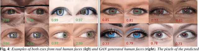 Figure 4 for Eyes Tell All: Irregular Pupil Shapes Reveal GAN-generated Faces