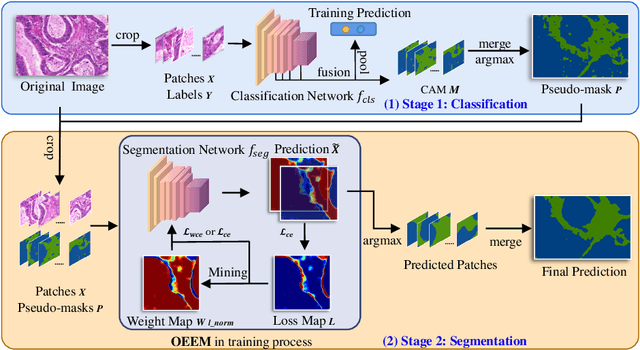 Figure 3 for Online Easy Example Mining for Weakly-supervised Gland Segmentation from Histology Images