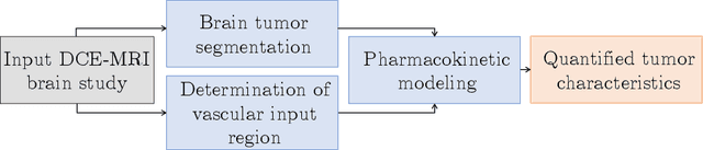Figure 1 for Fully-automated deep learning-powered system for DCE-MRI analysis of brain tumors