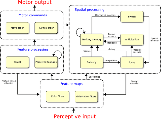 Figure 1 for A computational approach to the covert and overt deployment of spatial attention