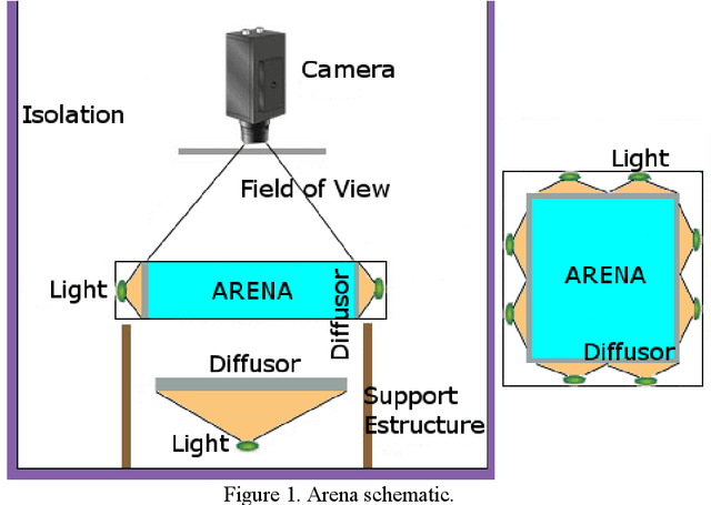 Figure 2 for ToxTrac: a fast and robust software for tracking organisms