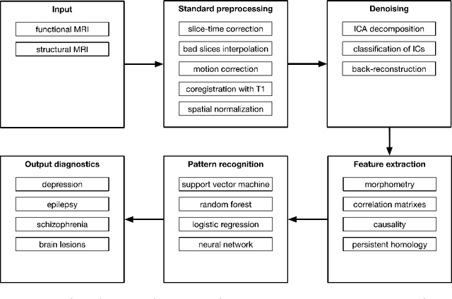 Figure 1 for fMRI: preprocessing, classification and pattern recognition