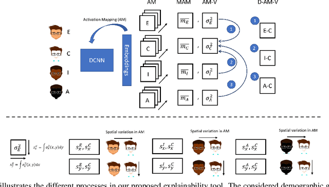 Figure 1 for Towards Explaining Demographic Bias through the Eyes of Face Recognition Models