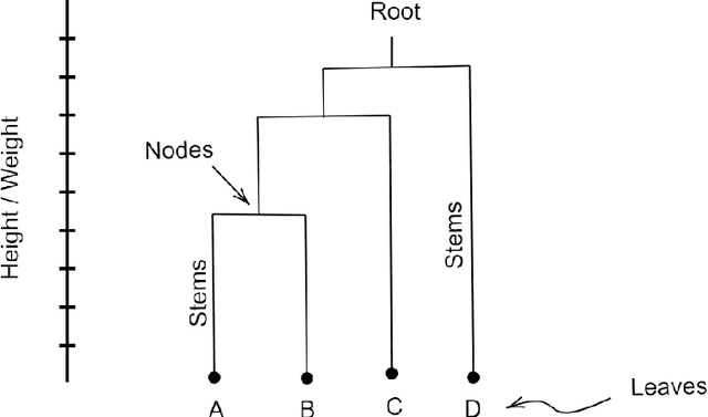 Figure 2 for Hierarchical Clustering and Zeroth Persistent Homology
