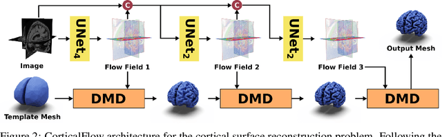 Figure 3 for CorticalFlow: A Diffeomorphic Mesh Deformation Module for Cortical Surface Reconstruction