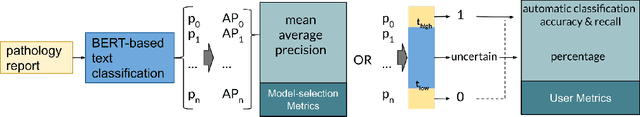 Figure 1 for Human-centric Metric for Accelerating Pathology Reports Annotation