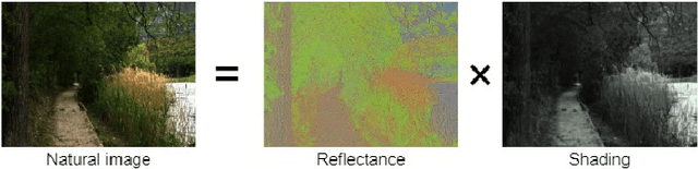 Figure 1 for Deep Retinex Network for Estimating Illumination Colors with Self-Supervised Learning