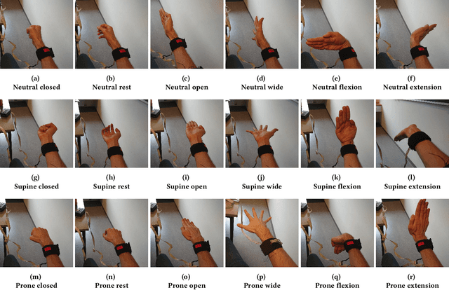 Figure 2 for Force myography benchmark data for hand gesture recognition and transfer learning