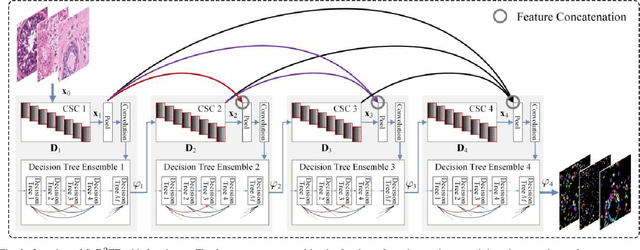 Figure 4 for Sparse Coding Driven Deep Decision Tree Ensembles for Nuclear Segmentation in Digital Pathology Images