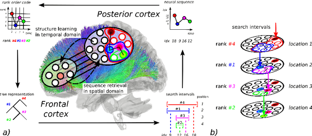 Figure 1 for Digital Neural Networks in the Brain: From Mechanisms for Extracting Structure in the World To Self-Structuring the Brain Itself
