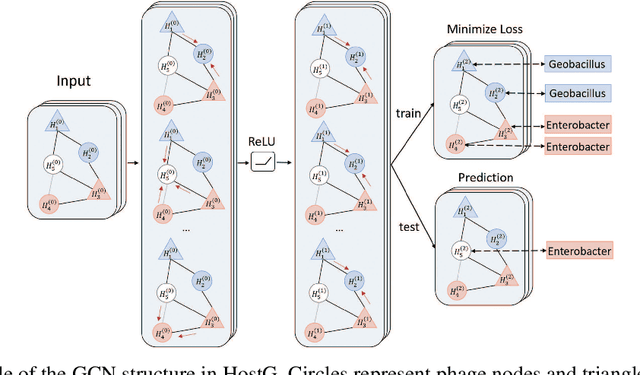 Figure 4 for Detecting the hosts of bacteriophages using GCN-based semi-supervised learning