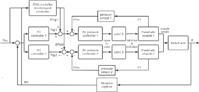 Figure 2 for Control of Pneumatic Artificial Muscles with SNN-based Cerebellar-like Model
