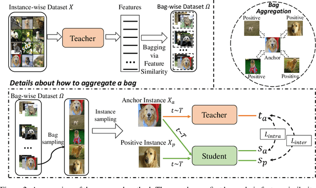 Figure 3 for Bag of Instances Aggregation Boosts Self-supervised Learning