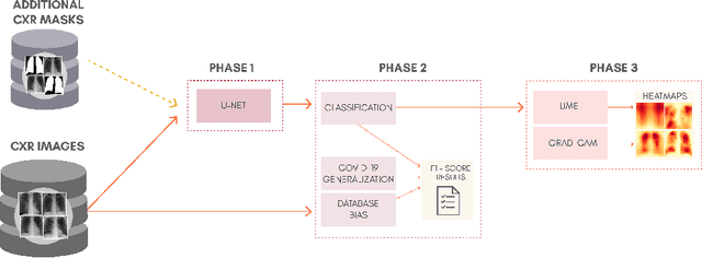 Figure 1 for Impact of lung segmentation on the diagnosis and explanation of COVID-19 in chest X-ray images