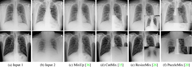 Figure 3 for Revisiting Vicinal Risk Minimization for Partially Supervised Multi-Label Classification Under Data Scarcity