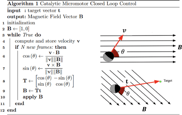 Figure 4 for Closed-loop Control of Catalytic Janus Microrobots