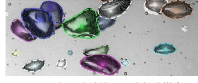 Figure 4 for Bubble identification from images with machine learning methods