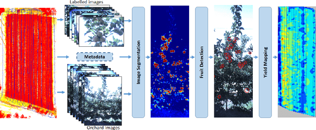 Figure 3 for Image Segmentation for Fruit Detection and Yield Estimation in Apple Orchards