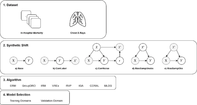 Figure 1 for An Empirical Framework for Domain Generalization in Clinical Settings