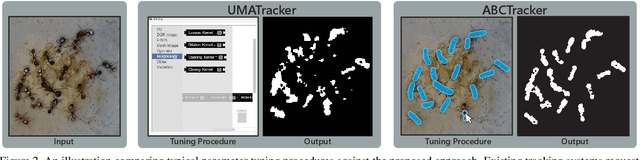 Figure 2 for ABCTracker: an easy-to-use, cloud-based application for tracking multiple objects