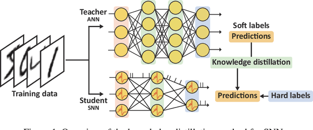 Figure 1 for Energy-efficient Knowledge Distillation for Spiking Neural Networks
