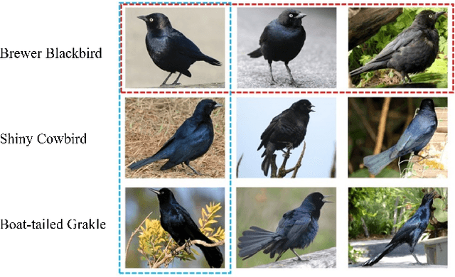 Figure 1 for A Novel Plug-in Module for Fine-Grained Visual Classification