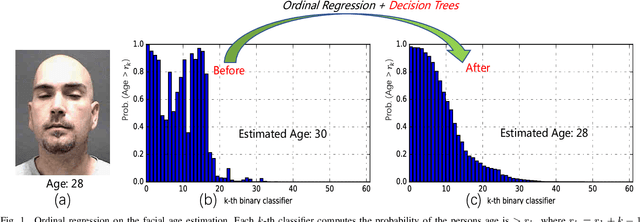 Figure 1 for Deep Ordinal Regression Forests