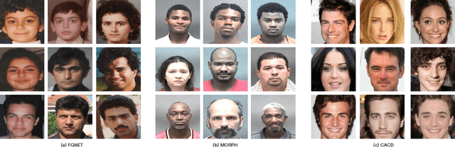 Figure 3 for Deep Ordinal Regression Forests