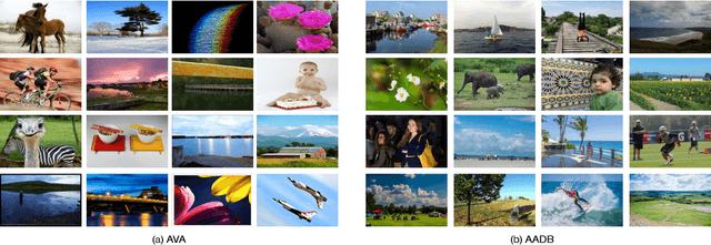 Figure 4 for Deep Ordinal Regression Forests