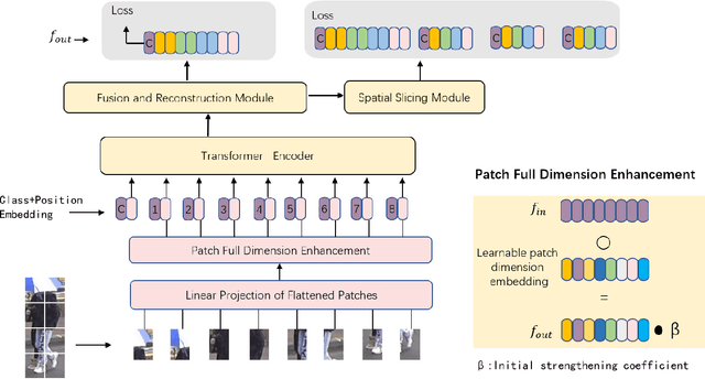 Figure 3 for Short Range Correlation Transformer for Occluded Person Re-Identification