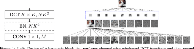 Figure 1 for Harmonic Networks: Integrating Spectral Information into CNNs