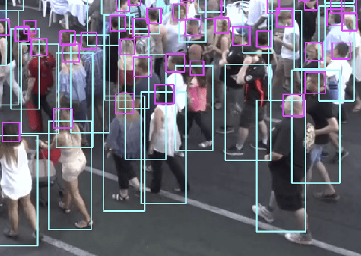 Figure 1 for Tracking Pedestrian Heads in Dense Crowd