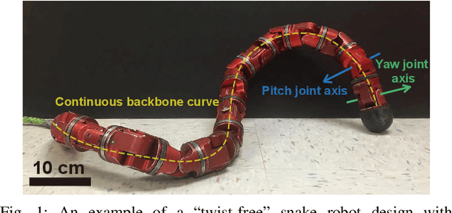 Figure 1 for Reconstruction of Backbone Curves for Snake Robots