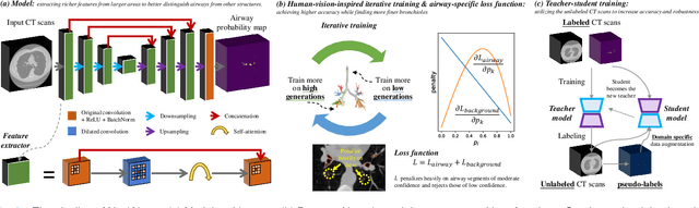 Figure 2 for NaviAirway: a bronchiole-sensitive deep learning-based airway segmentation pipeline for planning of navigation bronchoscopy