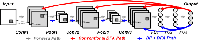 Figure 3 for Efficient Convolutional Neural Network Training with Direct Feedback Alignment